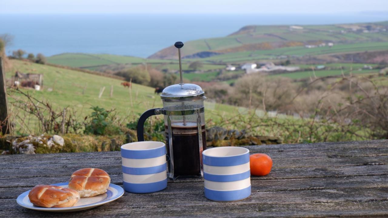 Polrunny Farm Elderberry Cottage With Sea View Boscastle Exterior photo