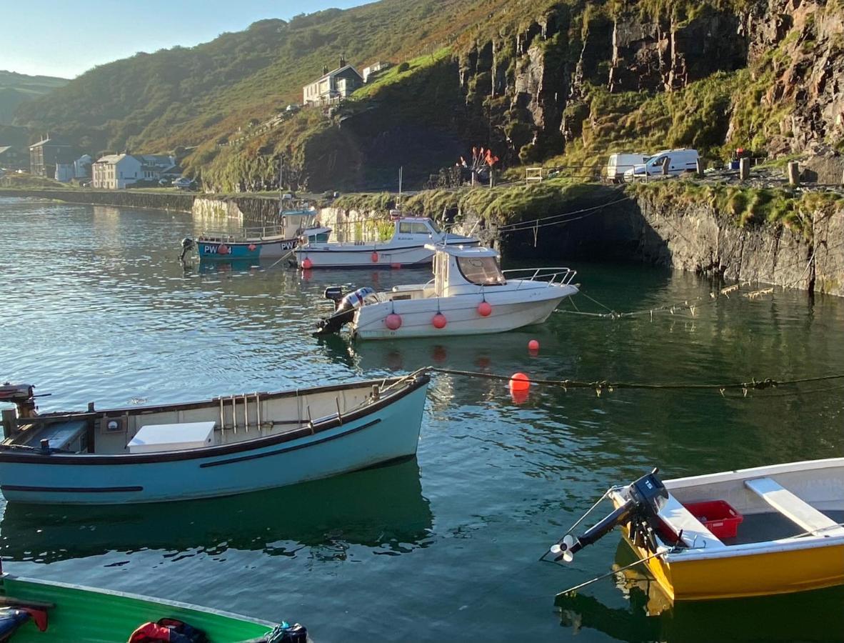 Polrunny Farm Elderberry Cottage With Sea View Boscastle Exterior photo