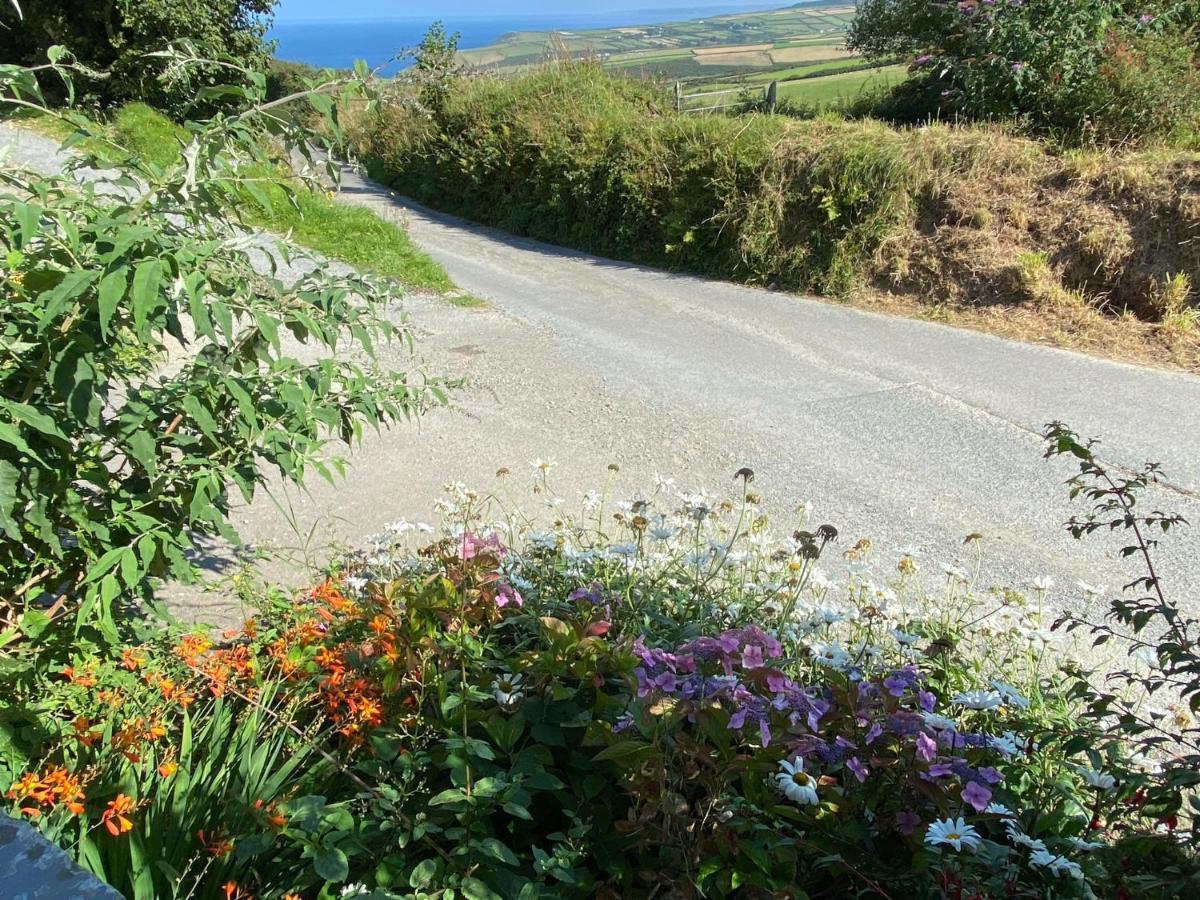 Polrunny Farm Elderberry Cottage With Sea View Boscastle Exterior photo