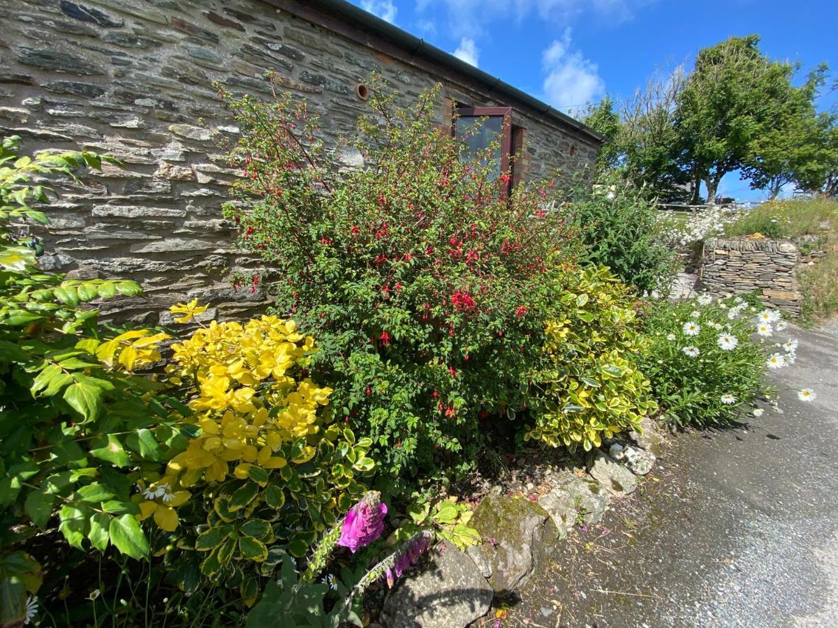 Polrunny Farm Elderberry Cottage With Sea View Boscastle Exterior photo