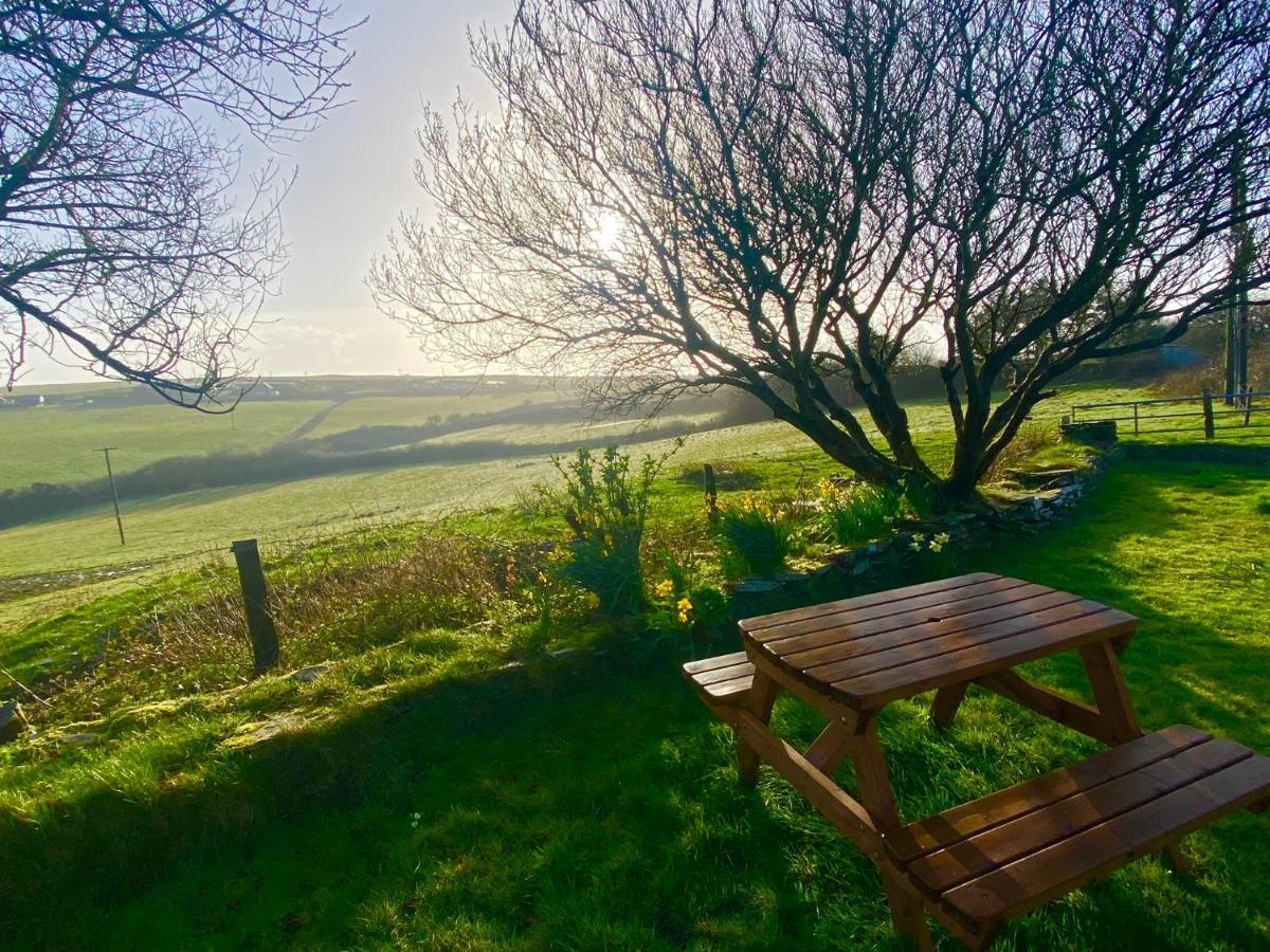 Polrunny Farm Elderberry Cottage With Sea View Boscastle Exterior photo