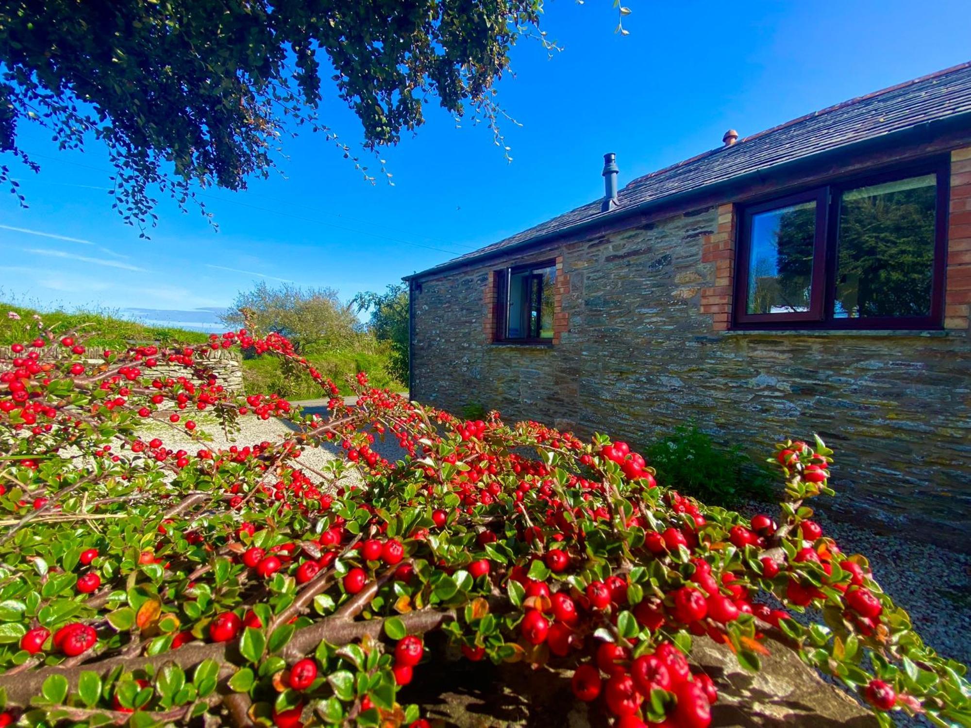 Polrunny Farm Elderberry Cottage With Sea View Boscastle Exterior photo